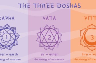 Reverse Diabetes Naturally: Ayurvedic Insights on Prameha