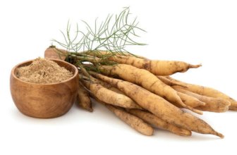 Uses, Health Benefits, Dosage, and Precautions