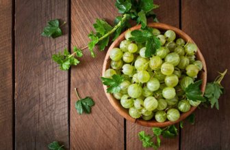 The Ayurvedic Superfruit for Everyday Health